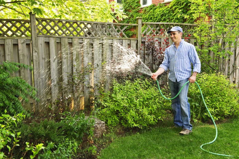 Your Tree Service in Spokane Will Do a Beautiful Job