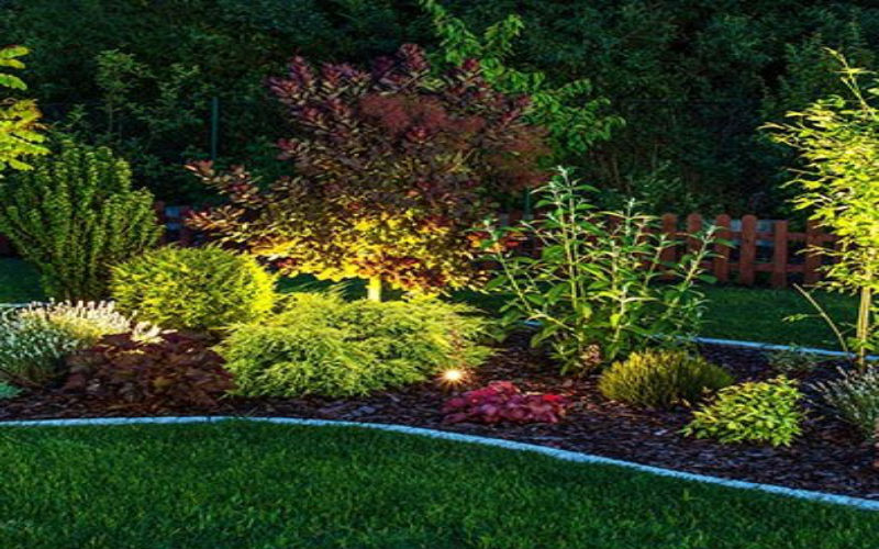 Considerations to Make When Choosing Landscape Lighting in Wichita Kansas