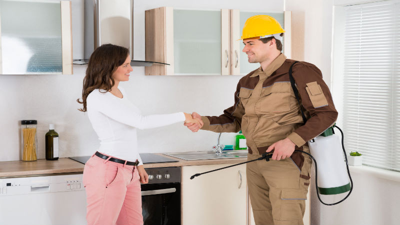 Three Reasons Why Homeowners Should Contact Local Pest Control In Lakewood WA