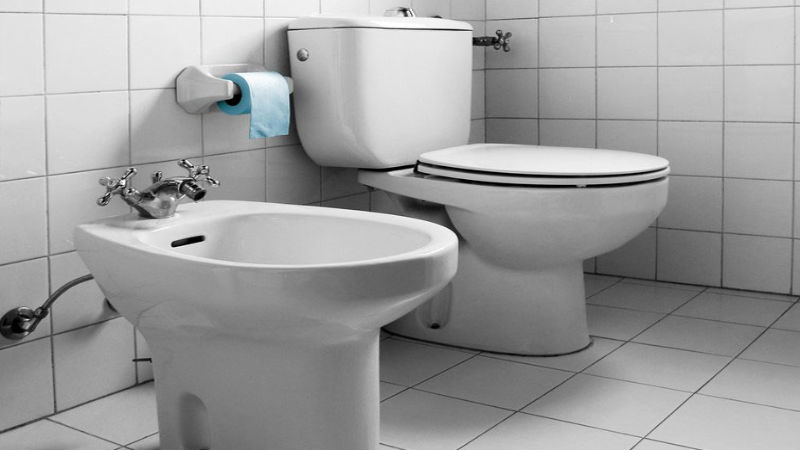 Ways a Plumber Can Conduct Clogged Toilet Repair in Murrieta, Ca