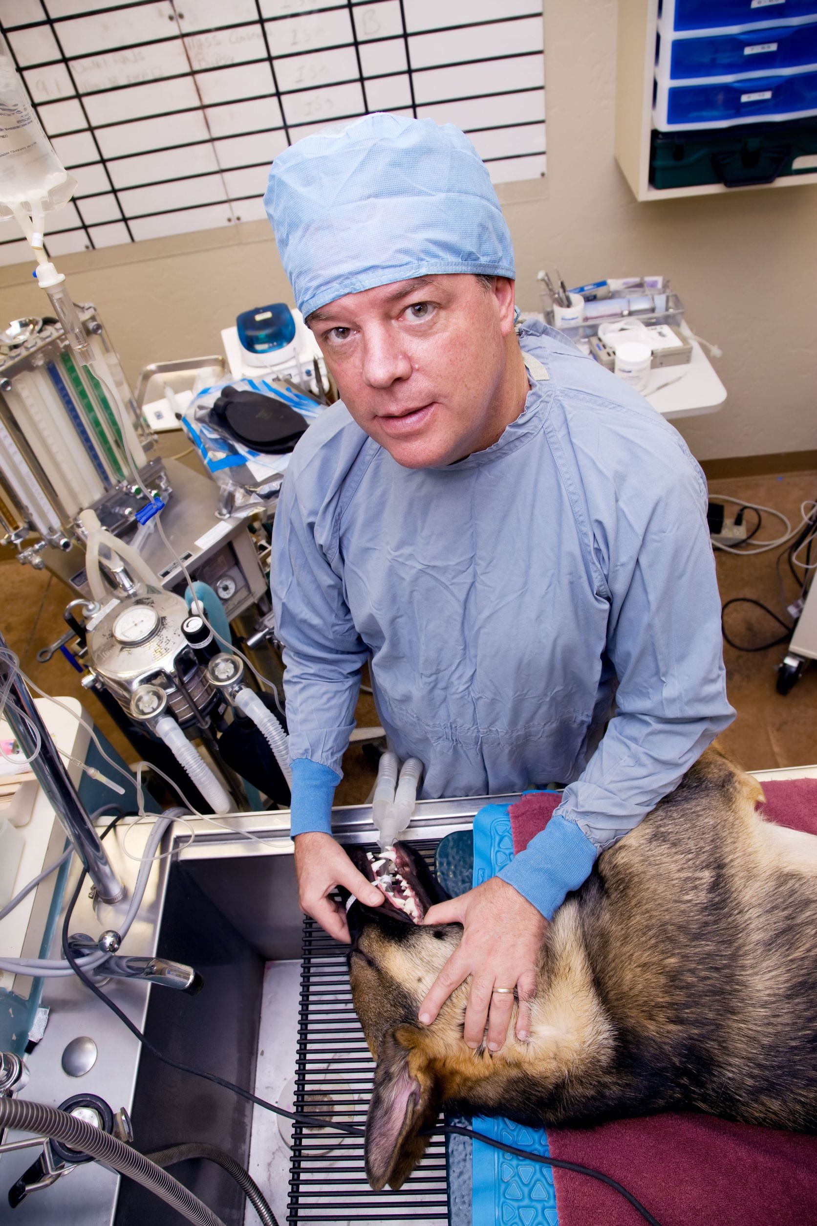 Give Your Furry Family Member the Care They Need with a Veterinary Clinic in Oregon