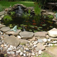 The Benefits of Outdoor Aquascapes in Waukesha, WI
