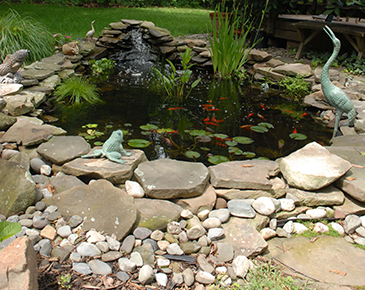 The Benefits of Outdoor Aquascapes in Waukesha, WI