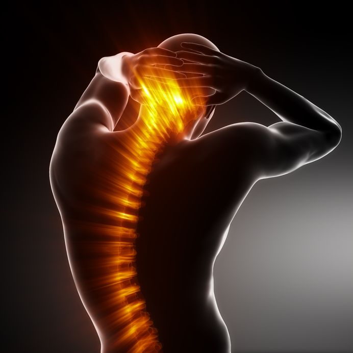 Control Your Back Pain With a Chiropractor in Ferguson