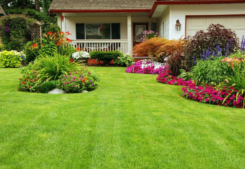 How to Identify an Exemplary Turf Provider in Ashburn VA