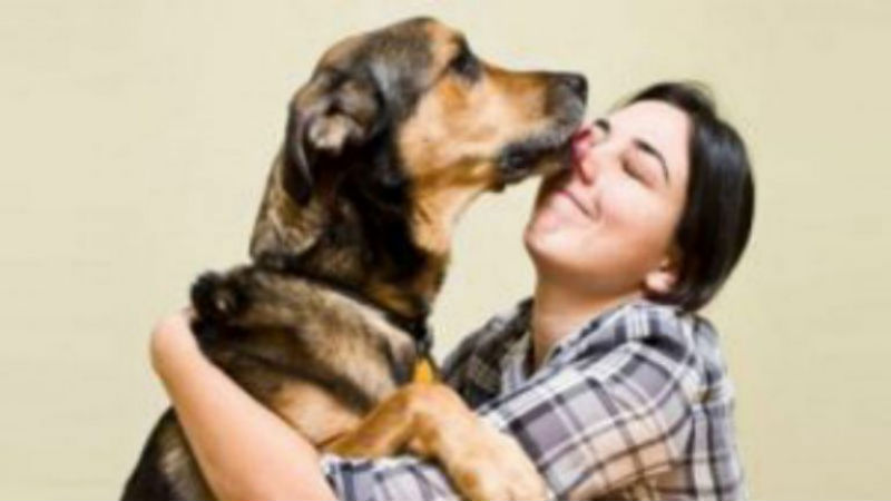 Veterinarian Terms Every Pet Owner Should Know