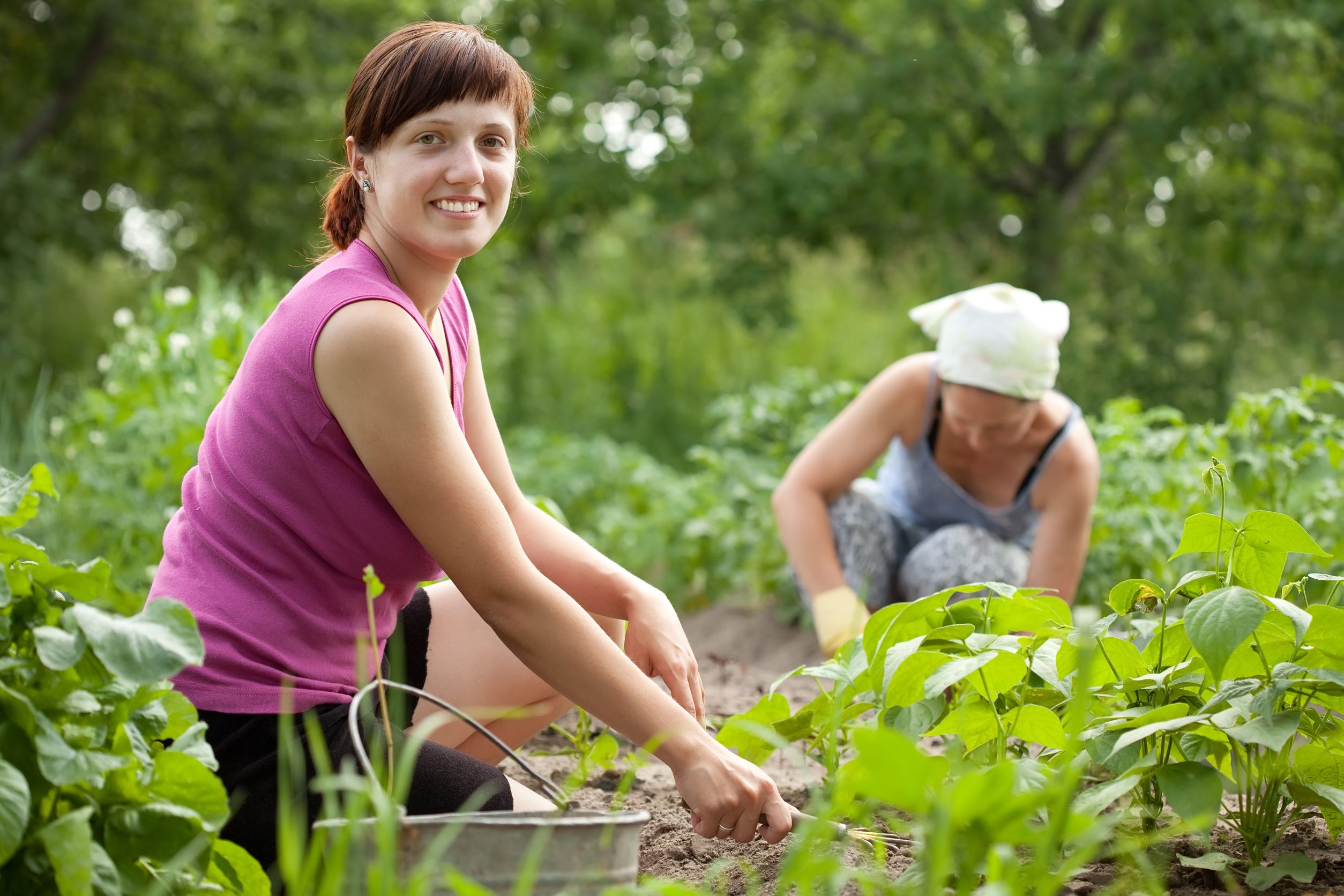 Benefits of Organic Lawn Care in Fairfield Connecticut