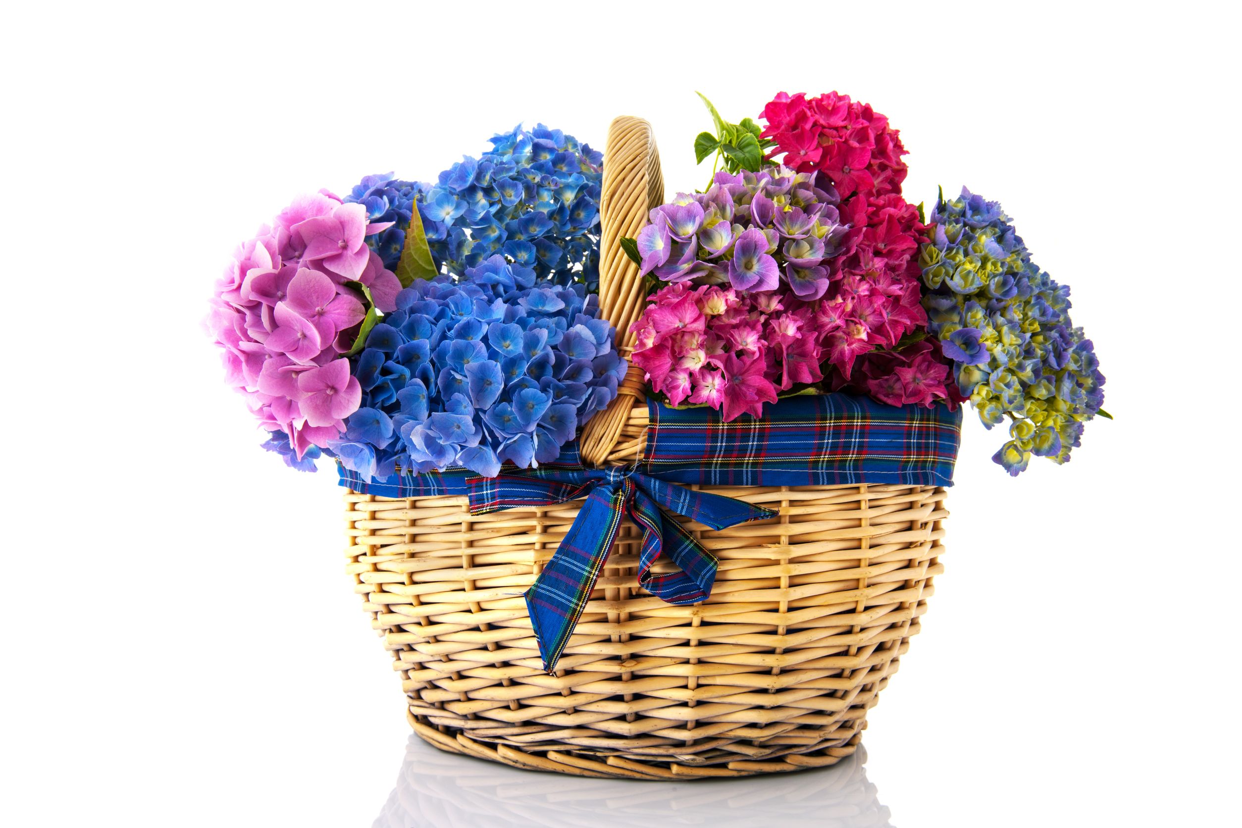 Choosing the Right Florist in Ankeny