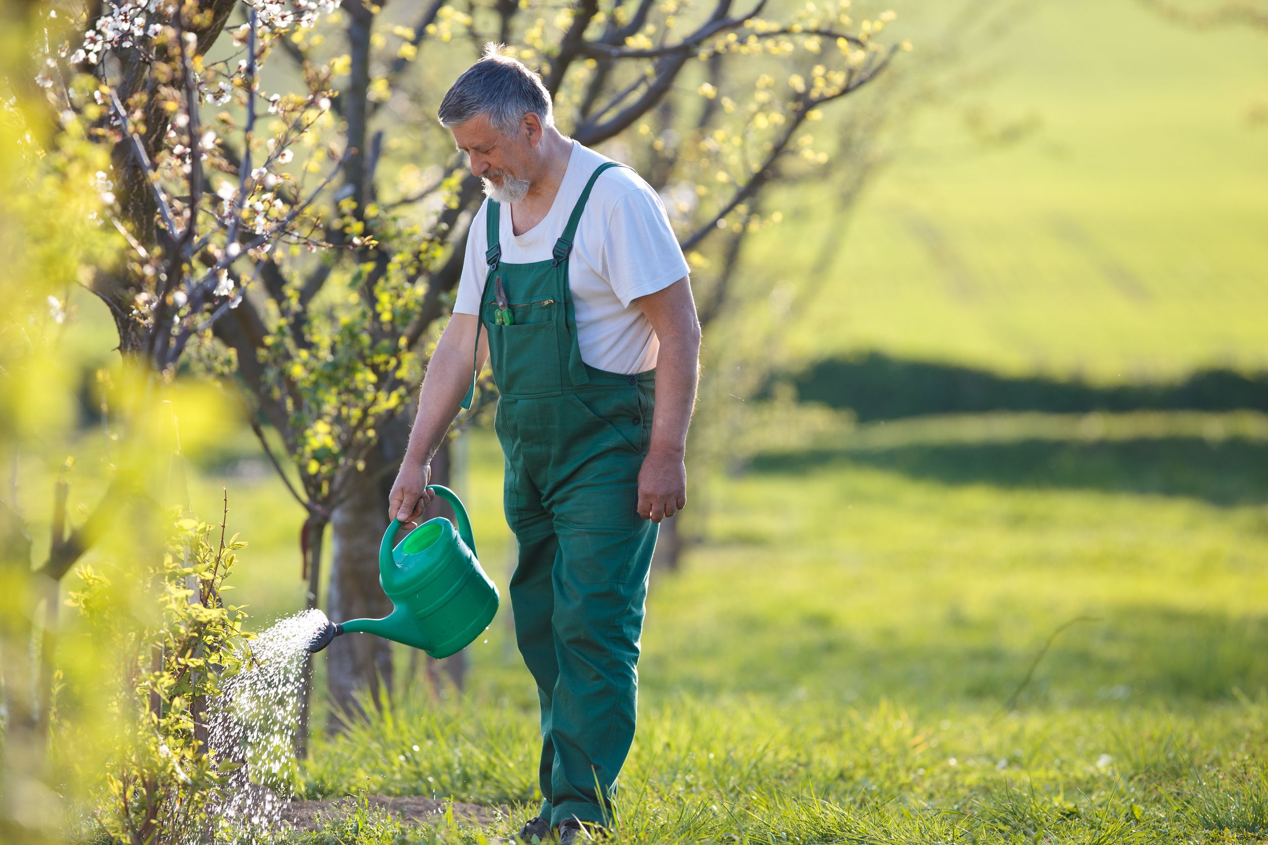 The Major Benefits of Hiring Landscape Contractors