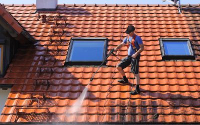 Extend the Life of Your Roof with Professional Roof Cleaning in Lake Mary, FL