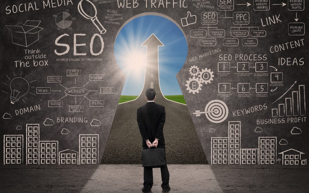 Search Engine Optimization in Chicago, IL – A Complete Beginner’s Guide