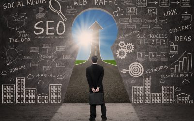 Search Engine Optimization in Chicago, IL – A Complete Beginner’s Guide